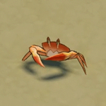 原神太阳蟹哪里多 原神太阳蟹抓取位置介绍