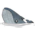 饥荒海难鲸鱼怎么处理 饥荒鲸鱼资料详解