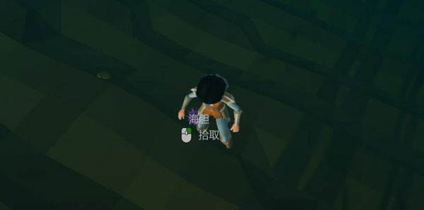 艾兰岛海胆