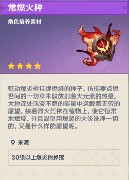 原神常燃火种说明