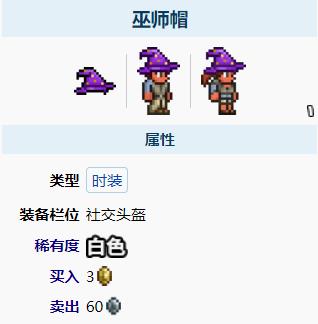 泰拉瑞亚巫师帽