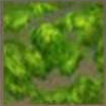 迷你世界苔藓有什么用 苔藓怎么获得