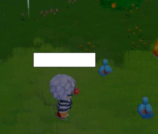 摩尔庄园手游蘑菇怎么采集 摩尔庄园蘑菇采集位置