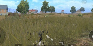 和平精英被偷袭攻击怎么办 被攻击正确处理方法