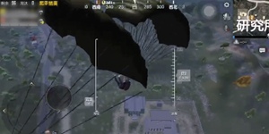 和平精英双排上分攻略 带着妹子一起上分！