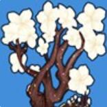 摩尔庄园植物樱花树怎么获得 摩尔庄园樱花树获得方法