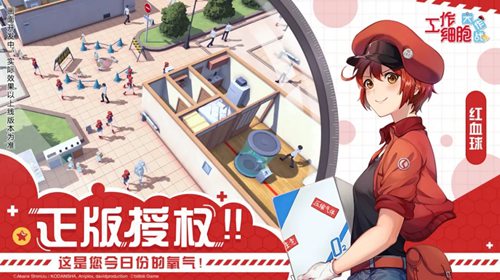 工作细胞：大作战开启预约 B站曝光《工作细胞》IP模拟经营手游