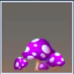 迷你世界洋红毒菇有什么用 洋红毒菇怎么获得