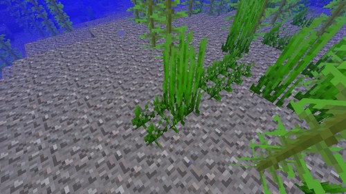 我的世界海草
