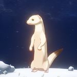 原神雪隐鼬在哪里 原神雪隐鼬分布地点介绍