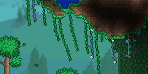 泰拉瑞亚大风天怎么召唤 大风天掉落攻略