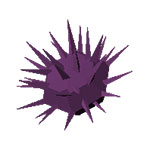 艾兰岛海胆要怎么获得 艾兰岛海胆在哪里