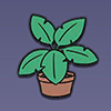 加查生活室内植物